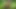 Wild Girlfriend Fuck on a Scooter & Wet Squirt in a Jungle During Rain