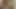Sabah erkenden postalandı