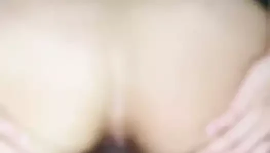 köpek stili