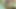 Hintli olgun azgın gırtlağına kadar anal tanrıça