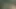 Siyah adam kız arkadaşını iyi becermeyi biliyor