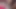Indian Desi Susar Ni Bahu Ko Lund Peel Diya Bahu Chekhti Rahi Susar Na Ruka Clear Hindi Audio Desi Sex