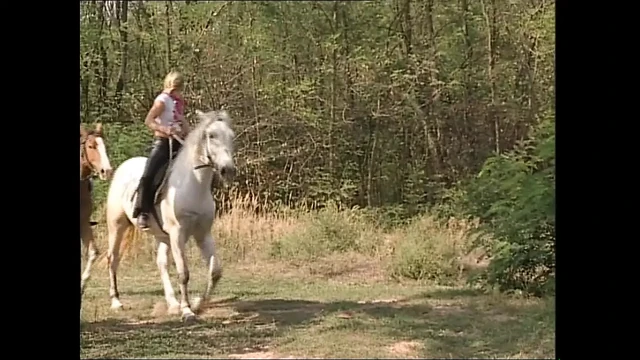 Мягкое анальное порно, винтаж огромных членов, кончающих от удовольствия (фильм целиком)