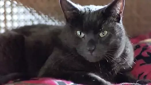 Heather graham seks sahnesi beni yumuşak bir şekilde öldürüyor