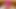 Hairy pussy enjoyed in big thick dildo Motel New Garden 2026