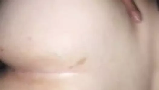 Bbw kedi olduğunu the en iyi kedi