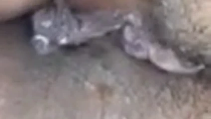 Latina eski kız arkadaş etli kahverengi porto rican kıllı kedi