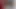 lanet desi hizmetçi teyze
