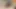 Ssbbw 31 talimatı veriyor