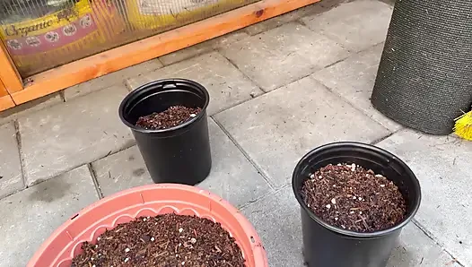 Spring Greenhouse Tour