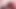 Blonde lesbians Biggi Bardot, Anikka Albrite kiss and masturbate