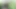 Utangaç teşhirci sigara molası veriyor