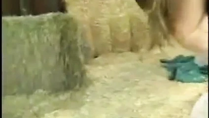 çoklu ırklararası anal