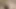 Küçük kapris yakın çekimler hd