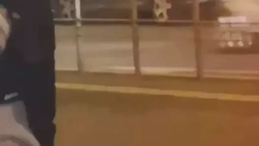 Büyük memeli
