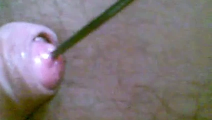 Sert sesli bölüm 2