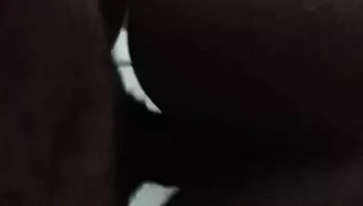 Lima büyük kaltak 974