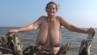 Sahilde dalgaların karaya attığı odun tanıtım promosyonu