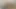 Kedi bir oklava her zaman güzeldir