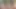 Oyuncağımı deniyorum ve gerçek gibi aynı olup olmadığını görelim