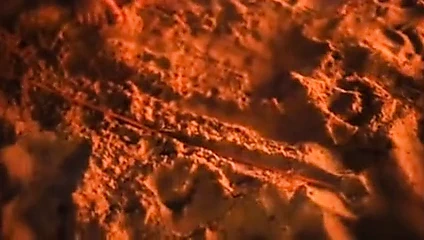 Brezilya ateşin etrafında pissing olgunlaşır !