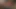 Amira ile amına tapma