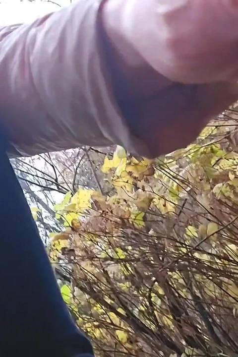 Üç işeme, iki tuvalet