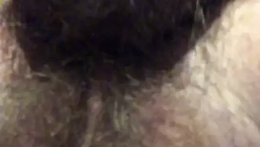 topları derin sarışın kedi