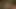 3D toon