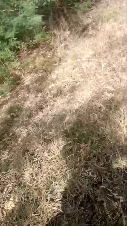 Köyde seks videosu
