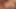 Pornfidelity Alexa Chains domalıyor ve sert sikiliyor