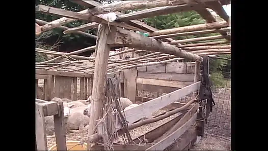 Gottinnen Der Lust 2 (Full Movie)