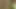 Indian Porn