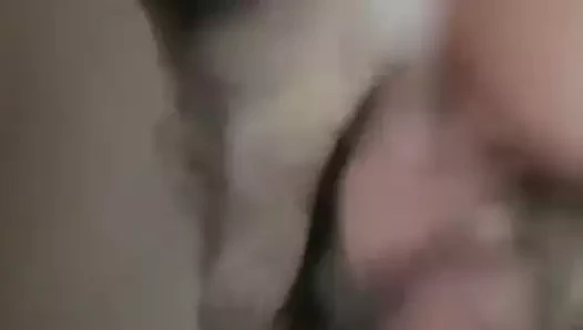 Sahte amcık dpp