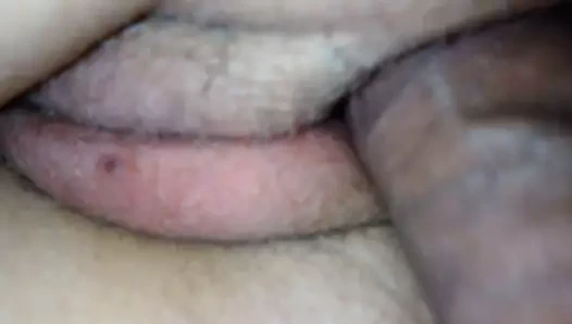 Kedi becerdin ve kapalı ile sperm