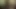 Pov atış arasında muhteşem genç şımarık sarışın ile traş kedi