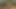 Audrey Bitoni ofiste göğüsleriyle sikişiyor vr porno