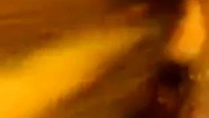 Beyaz haydut siyah travesti dölünü besliyor