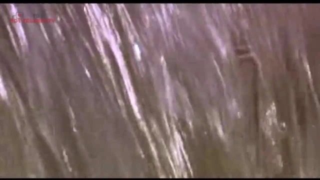 Estella warren - onun küçük şeyi 2005