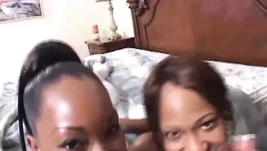 iki mükemmel sıcak abanoz sluts için bir bbc