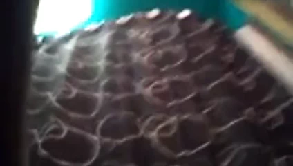 Dik abanoz kedi oyun