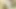 Oldnanny – avrupalı ​​olgun solo oyun
