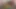 Prt.2 Content creator wanted to suck and feel my cock yummy