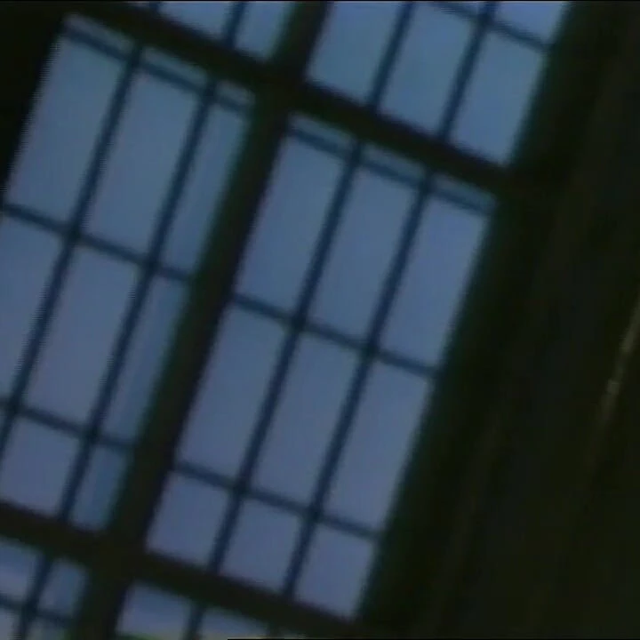 Паук ест молоко