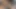 Küçük yaraklı üvey babam beni bağladı ve orgazm oldu