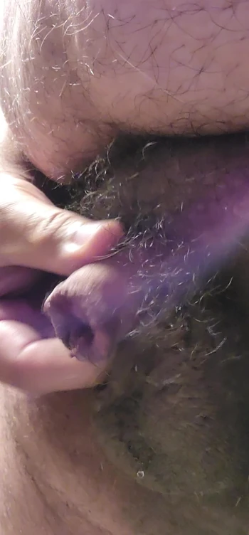 Необрезанный медведь писает