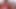 Interracial Sex Doll Riding MILF's