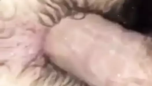 Fatalau paros o ia in cur o adora