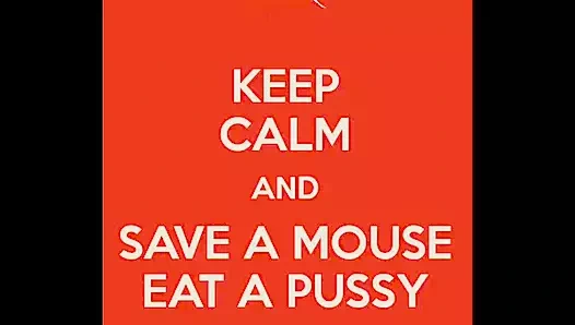 Dünyayı kurtar ve baştankara ve kediye emmek