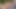 Blonde Schönheit masturbiert im Freien